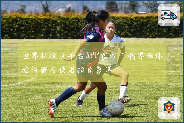 世界杯投注平台APP官方下载界面体验详解与使用指南分享