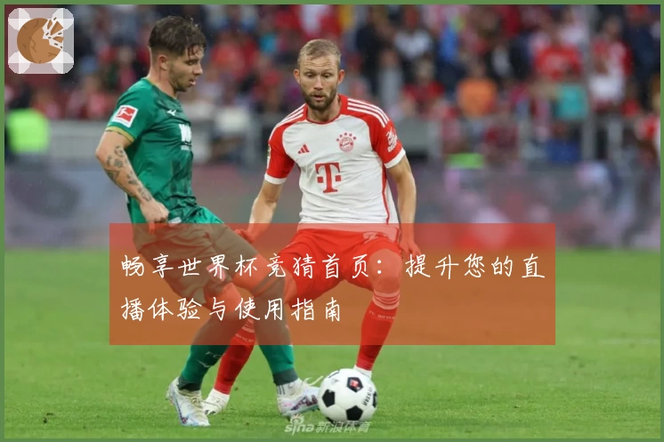畅享世界杯竞猜首页：提升您的直播体验与使用指南