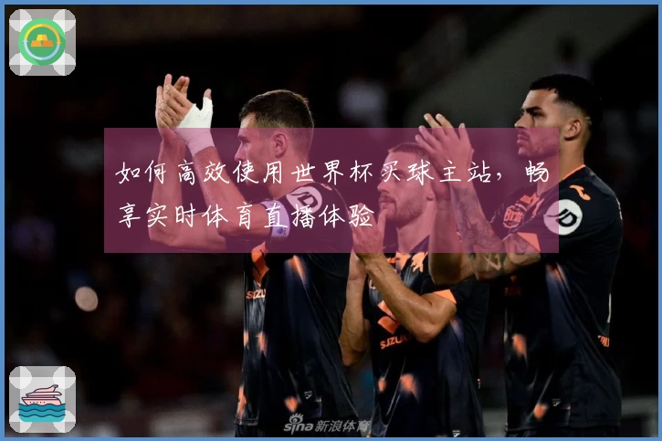 如何高效使用世界杯买球主站，畅享实时体育直播体验