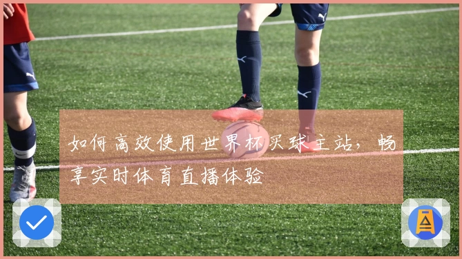 如何高效使用世界杯买球主站，畅享实时体育直播体验
