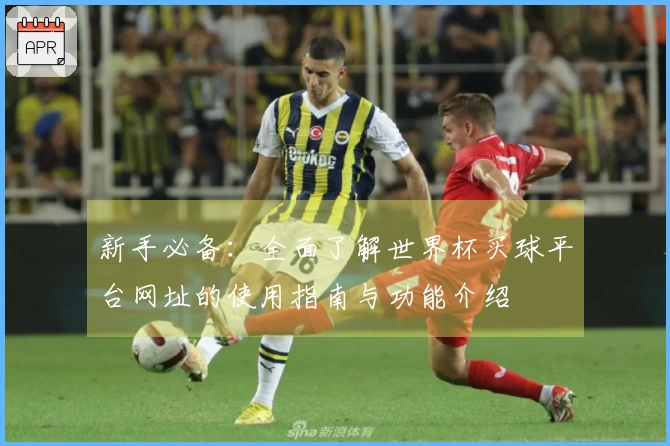 新手必备：全面了解世界杯买球平台网址的使用指南与功能介绍