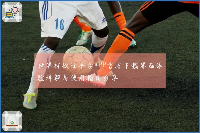世界杯投注平台APP官方下载界面体验详解与使用指南分享