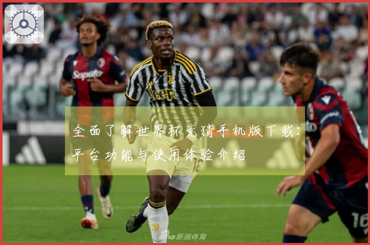 全面了解世界杯竞猜手机版下载：平台功能与使用体验介绍